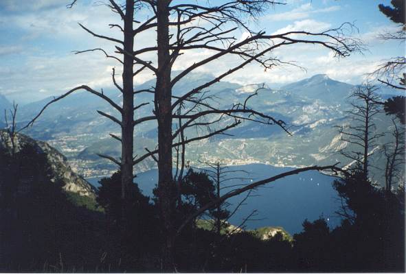 Blick auf Riva und Torbole Blick auf Riva und Torbole
