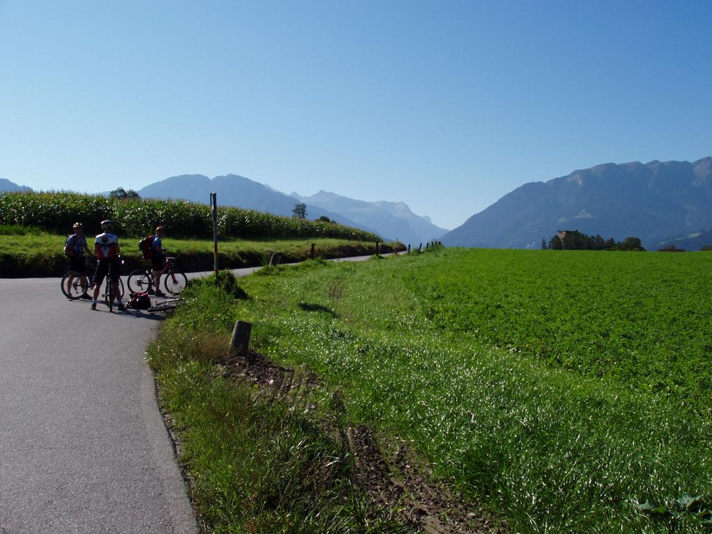 Auf dem Weg nach Scharans am Hinterrhein Auf dem Weg nach Scharans am Hinterrhein