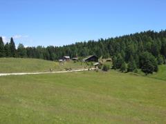 Ronerhütte (1832 m)