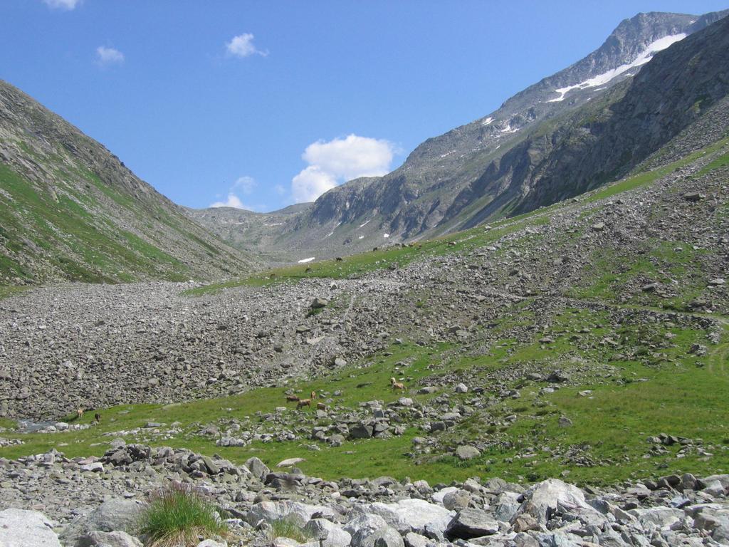 Blick zum Hundskehljoch