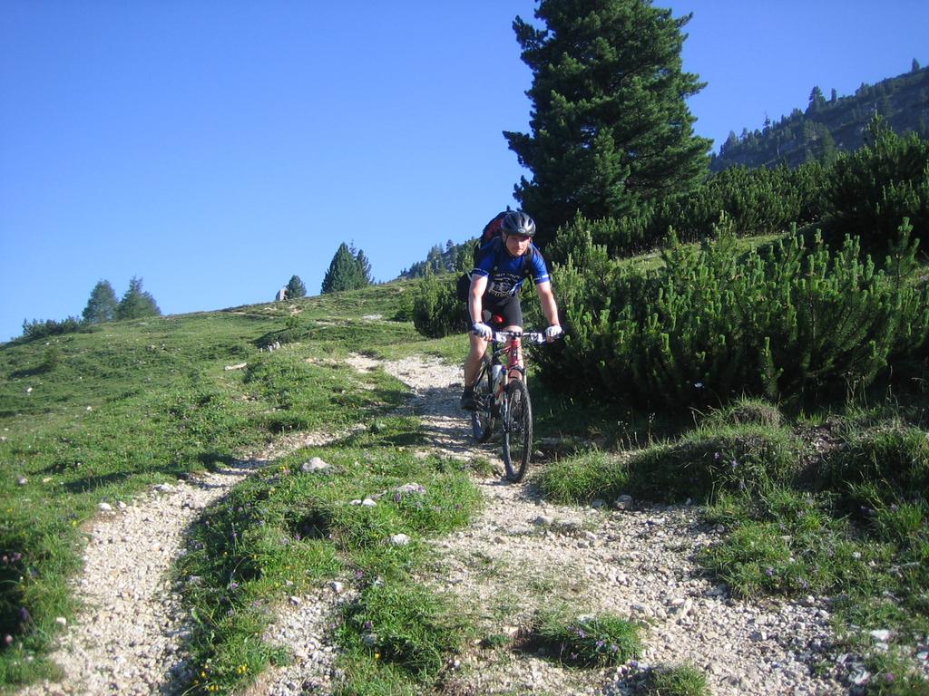 Abfahrt gen Schluderbach auf Trail 37