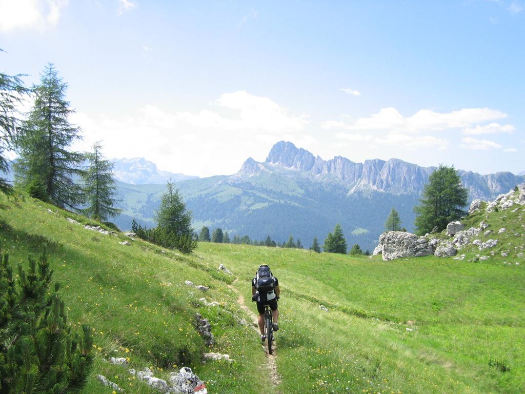 Trail 441 Trail 441