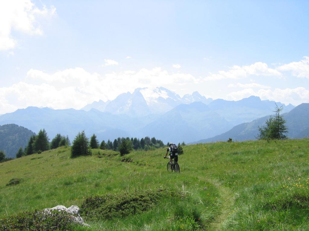 Trail 441 mit Marmolada Trail 441 mit Marmolada
