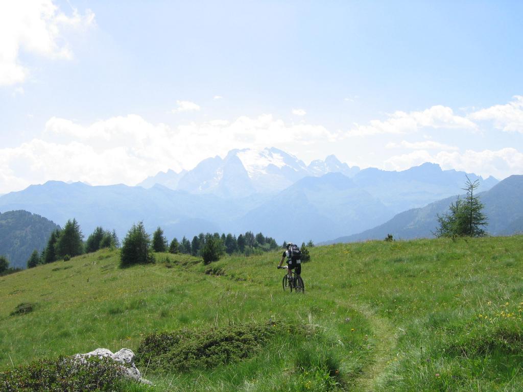 Trail 441 mit Marmolada