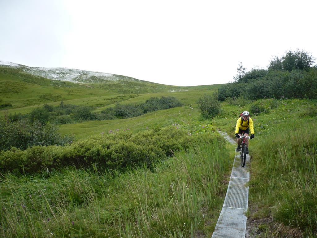 Metallroste im Turbachtal