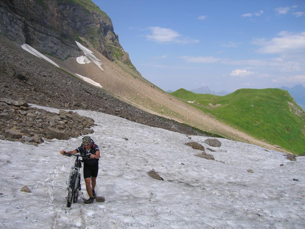 Aufstieg zum Surenenpass (3)