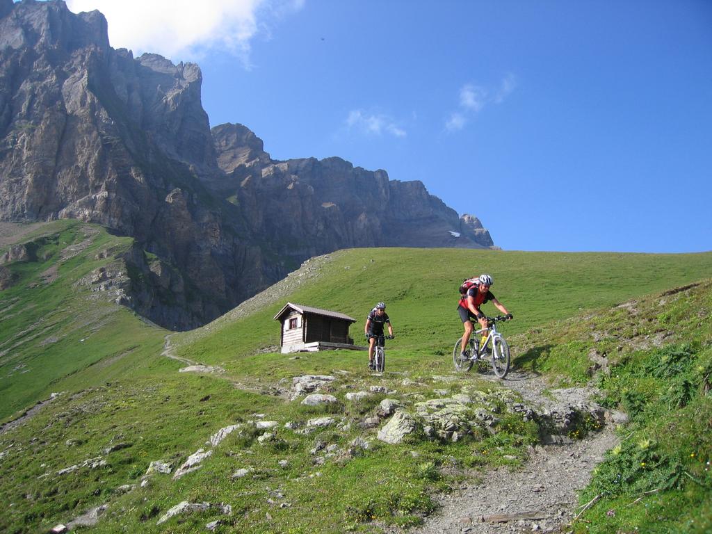 Abfahrt von Surenenpass (1)