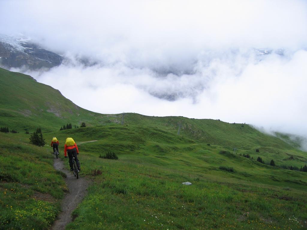 Trailabfahrt von der Kleinen Scheidegg