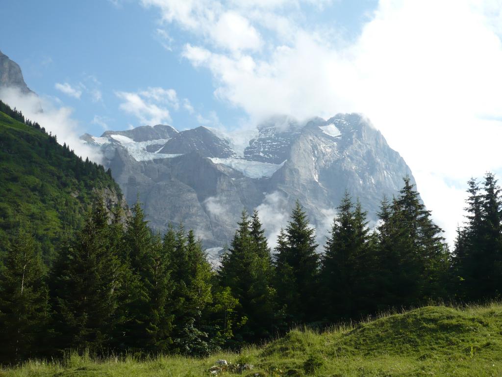 Wetterhorn (3692m), Vorbote des Eigers