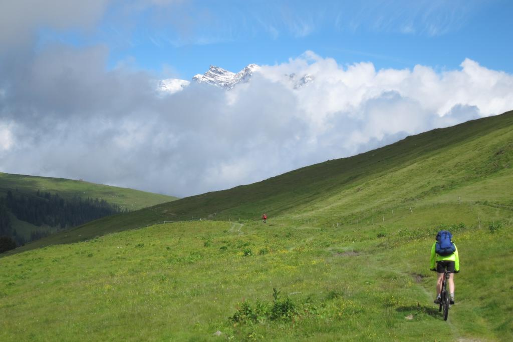 Wolkiger Blick auf die Glarner Alpen