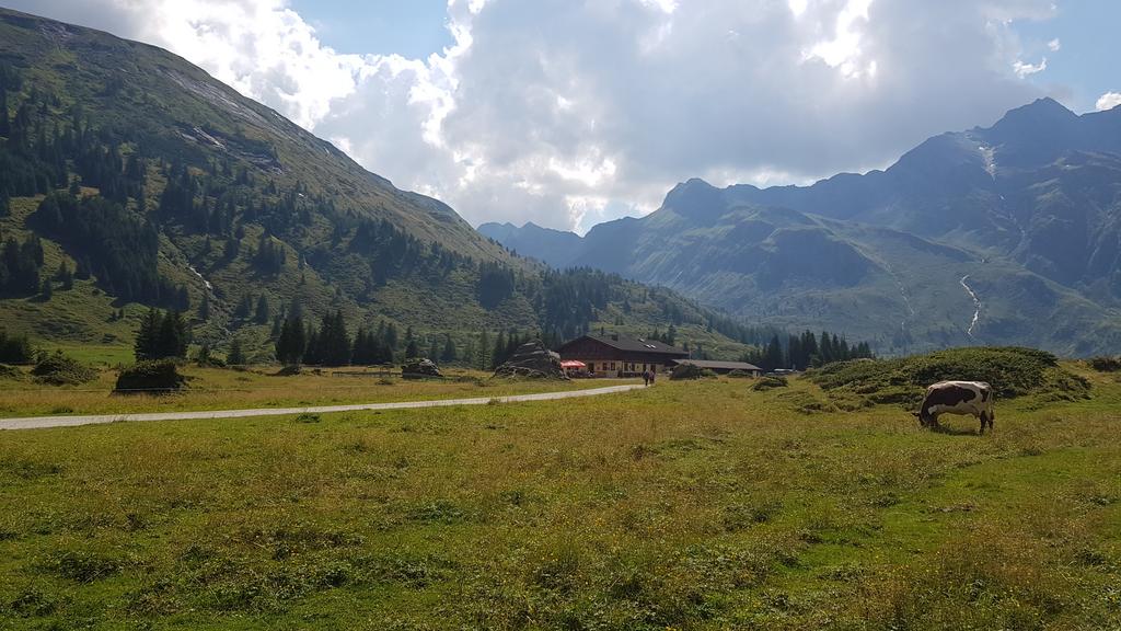 Naßfeldalm (1605m), dahinter der Hauptkamm