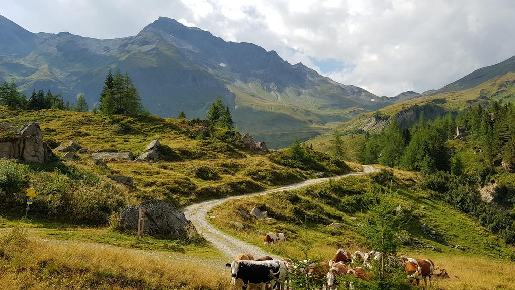 Blick zurück zum Niederen Tauern Blick zurück zum Niederen Tauern