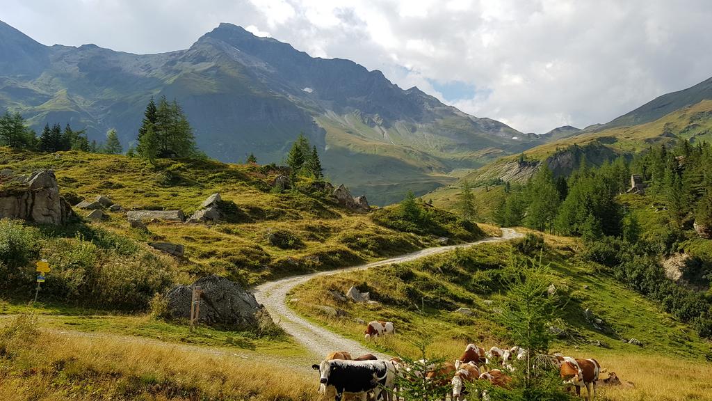 Blick zurück zum Niederen Tauern