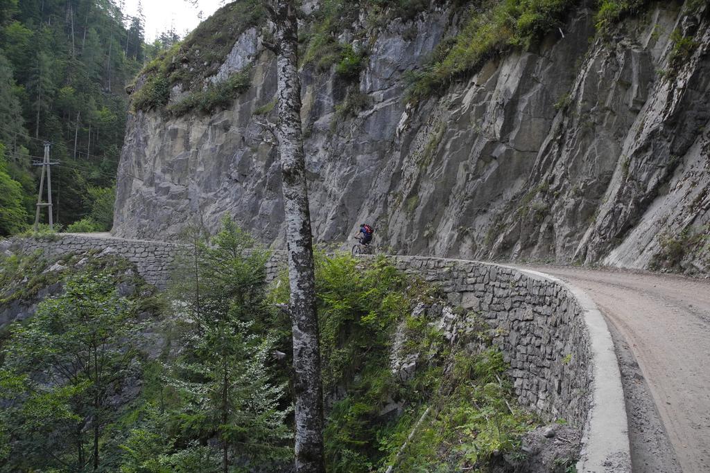 Auffahrt zur Alm hinterm Brunn (1275m) Auffahrt zur Alm hinterm Brunn (1275m)