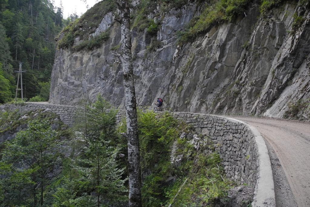 Auffahrt zur Alm hinterm Brunn (1275m)