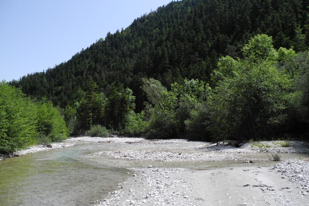 Nachmittagsschläfchen am L'Issole