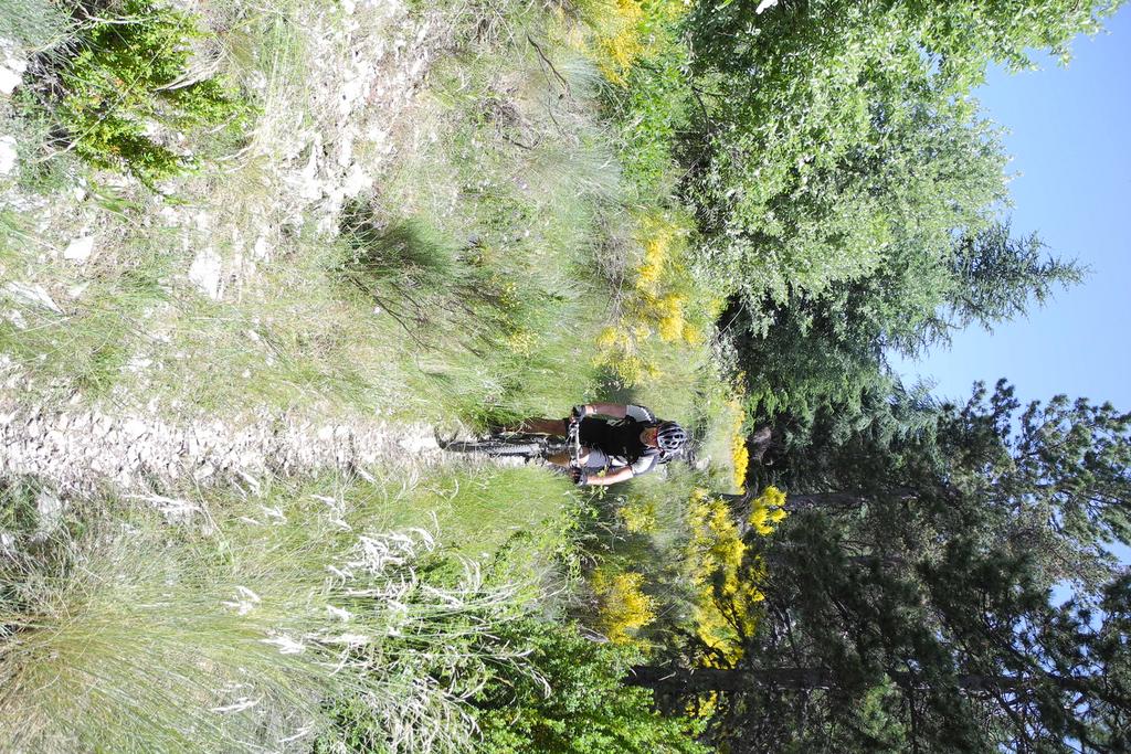 Trans-Verdon Trail Trans-Verdon Trail