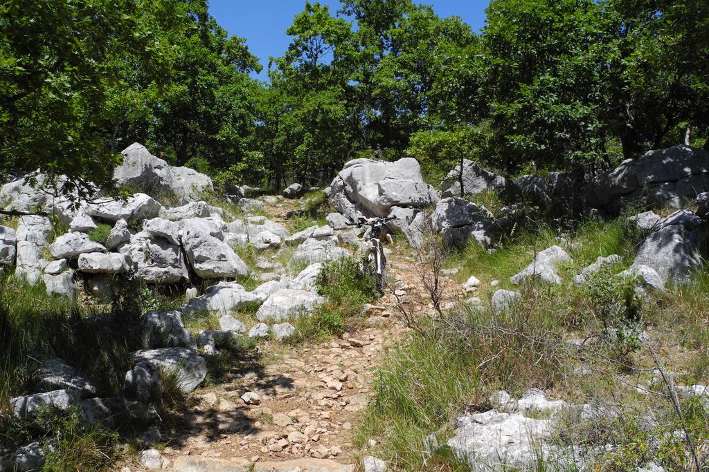 Trail am Mouton d'Anou Trail am Mouton d'Anou