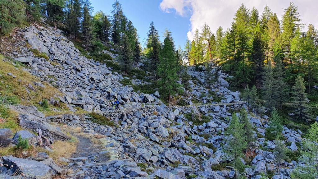 Reiterweg zum Alpe Levionaz