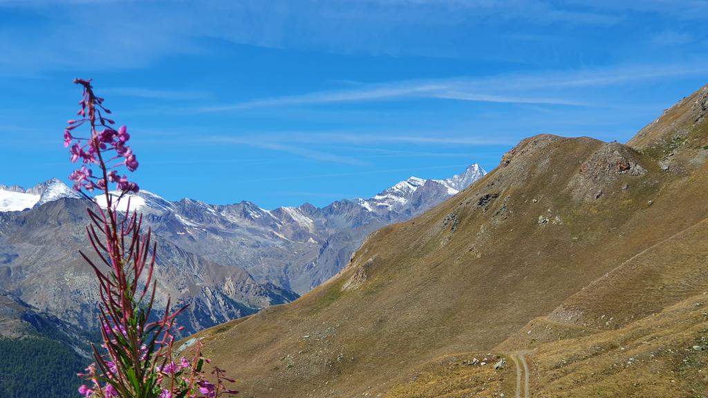 Blick zurück zum Col Lauson