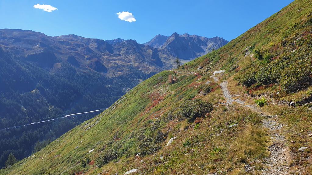 Höhenweg zum Sankt Bernhard (2)