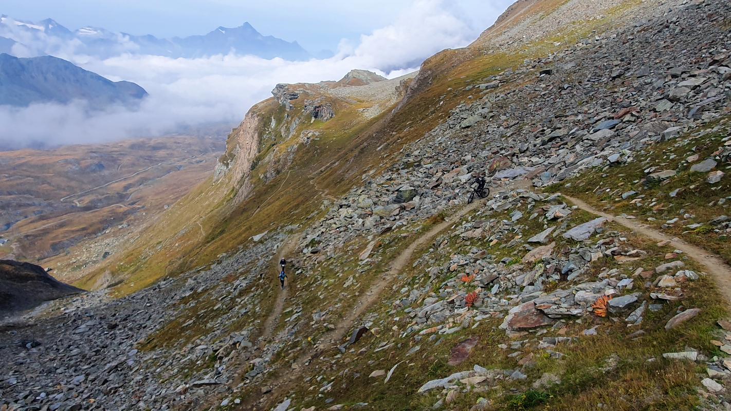 ... mit vielen Trailrunnern