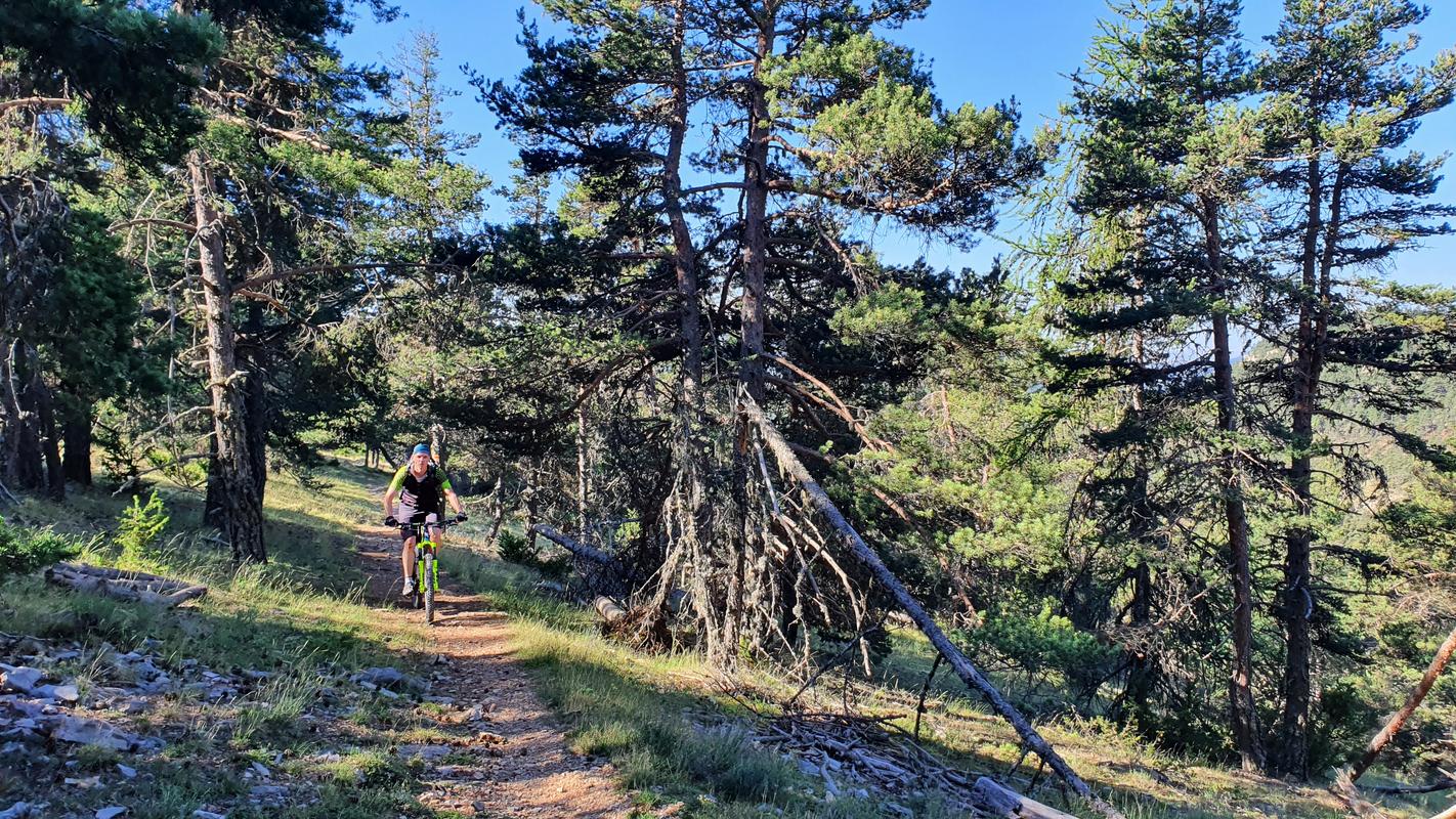 Trailauffahrt Trailauffahrt