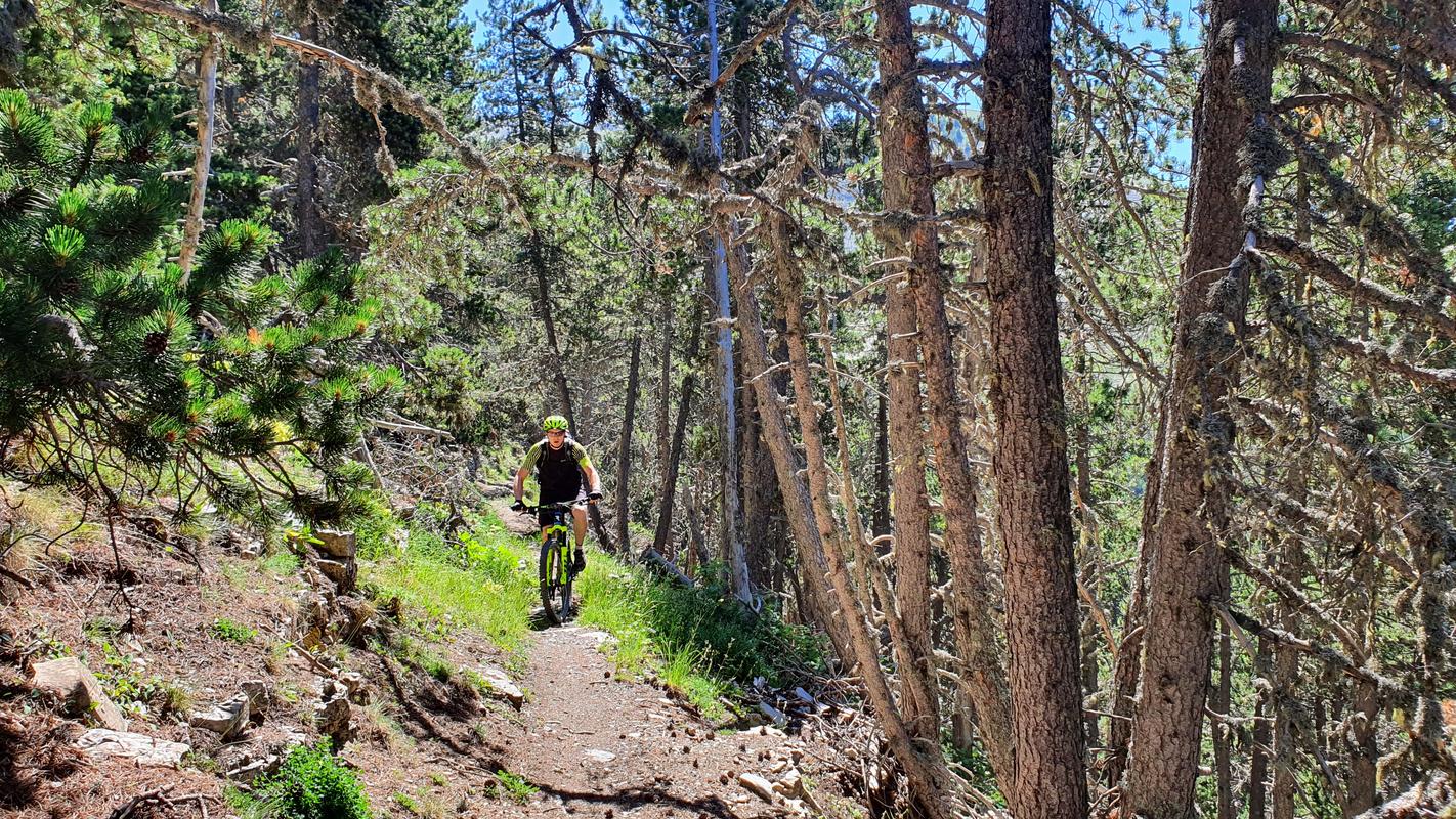 Trailauffahrt Trailauffahrt