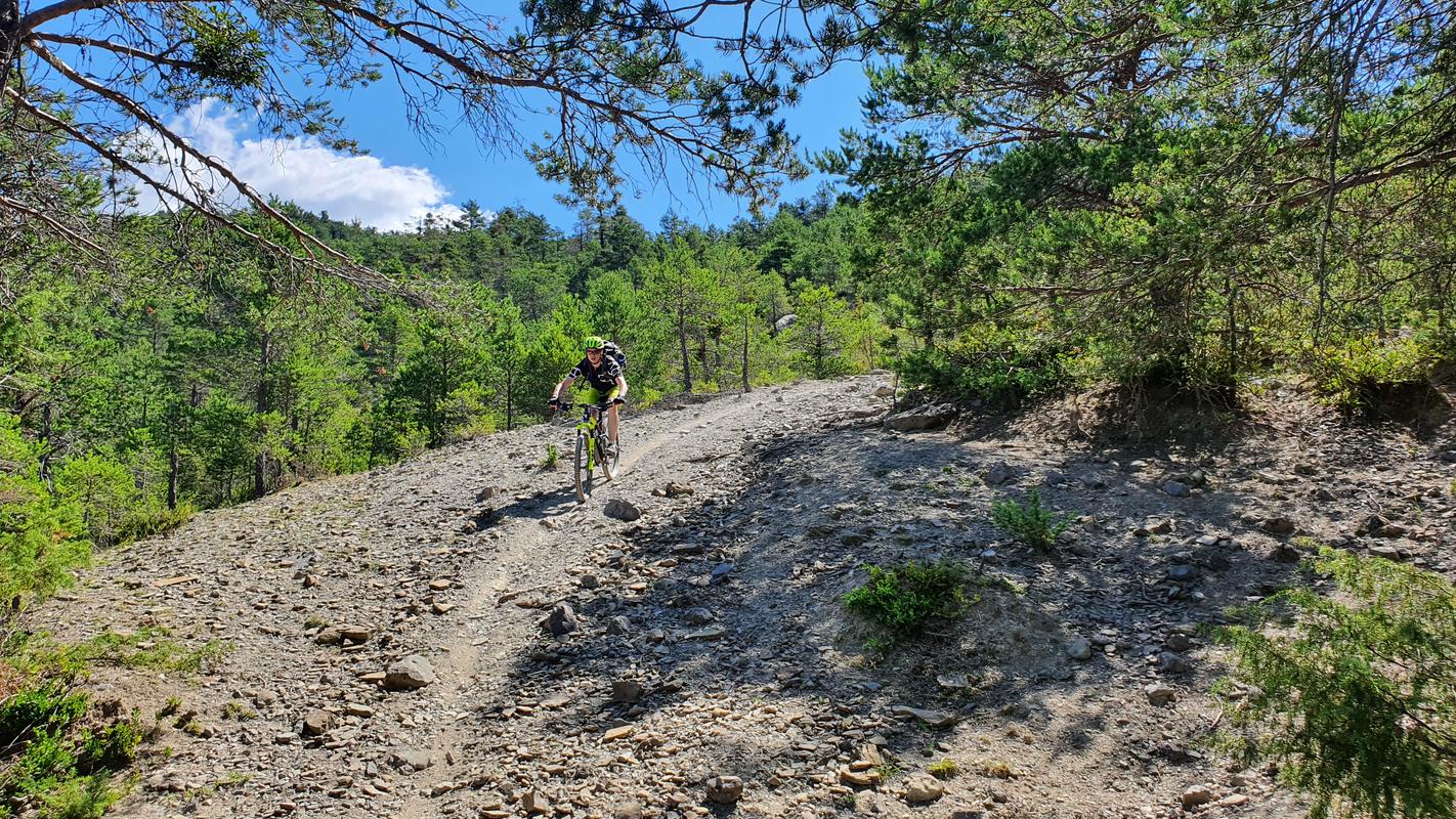 Terres Grises (3) Terres Grises (3)