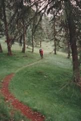 Auf dem Weg zur Kreuzwiesenhütte.