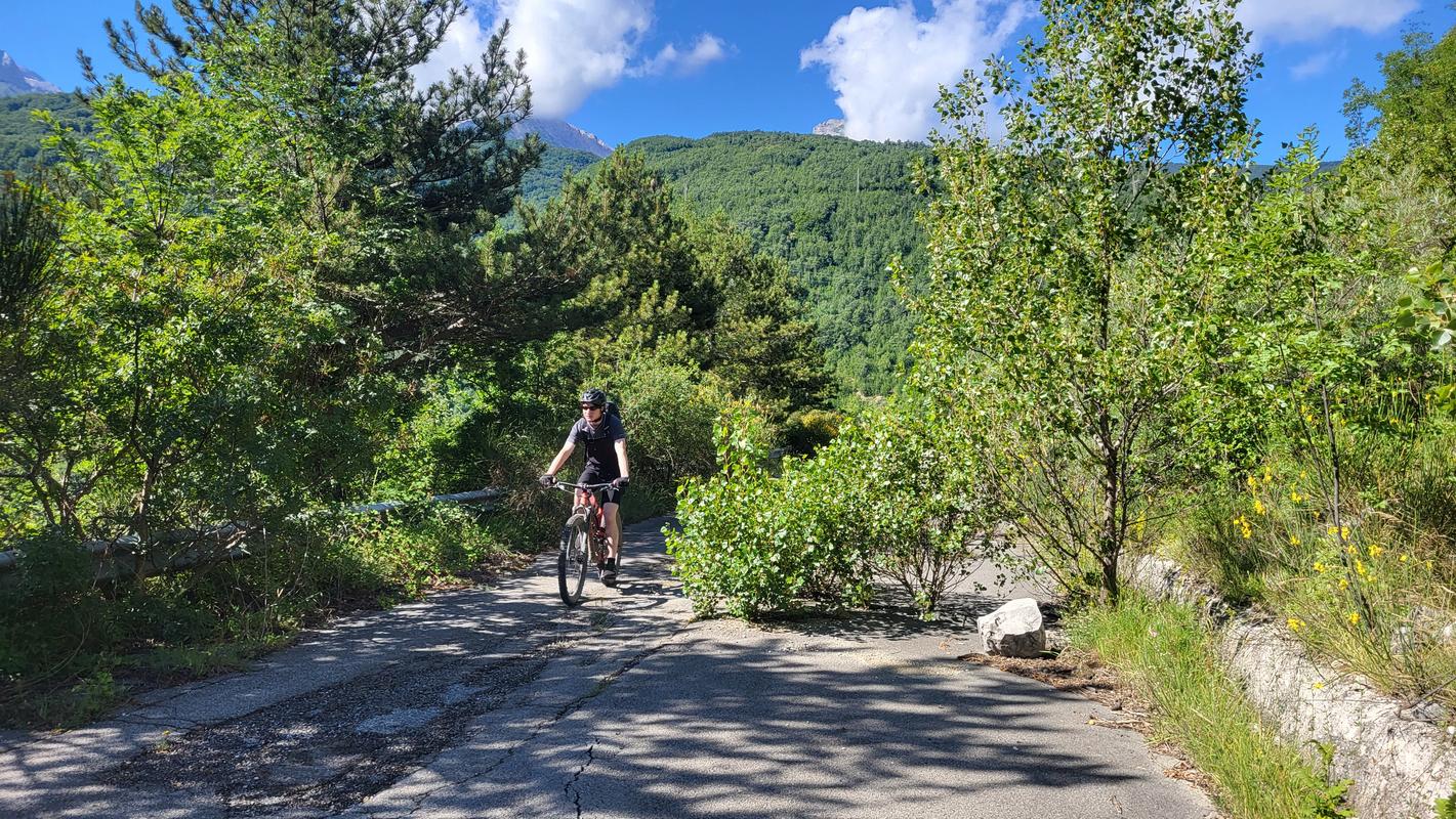 Natur holt Straße zurück Natur holt Straße zurück