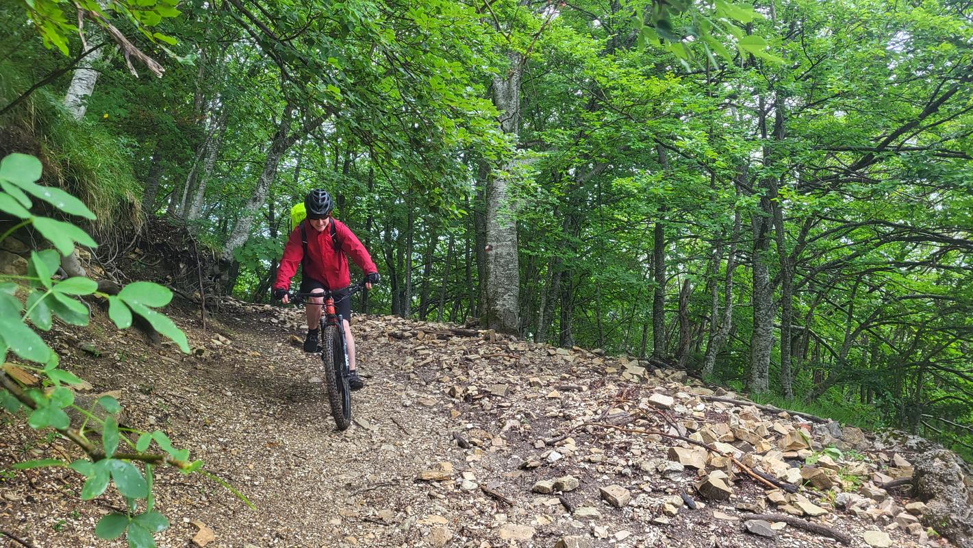 Passo Borghese, weiter unten im Wald Passo Borghese, weiter unten im Wald