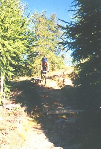 Trail von der Haselgruber Hütte (2)