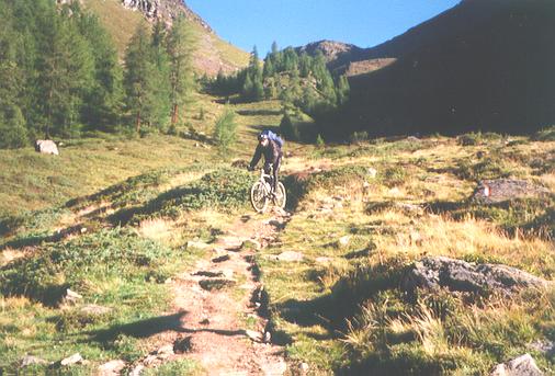 Trail von der Haselgruber Hütte (3)