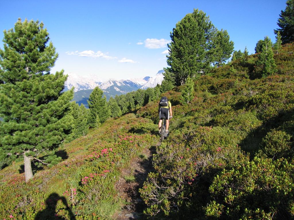 Trail am Maurer Berg Trail am Maurer Berg