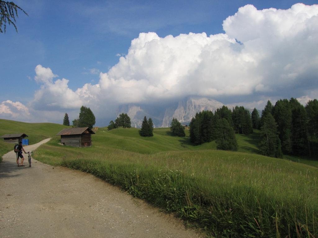 Seiser Alm mit verhangenem Platt- und Langkofel