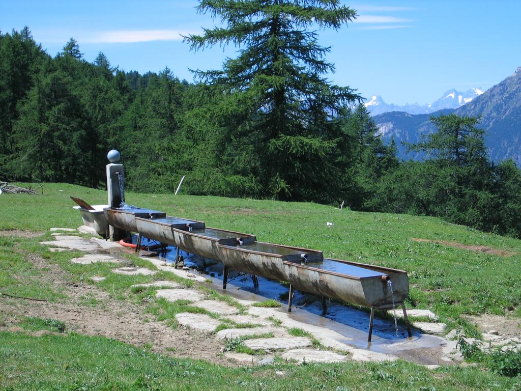 Magischer Brunnen