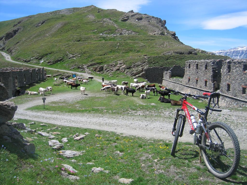 Der Assietta-Kamm ist erreicht (2550m) Der Assietta-Kamm ist erreicht (2550m)