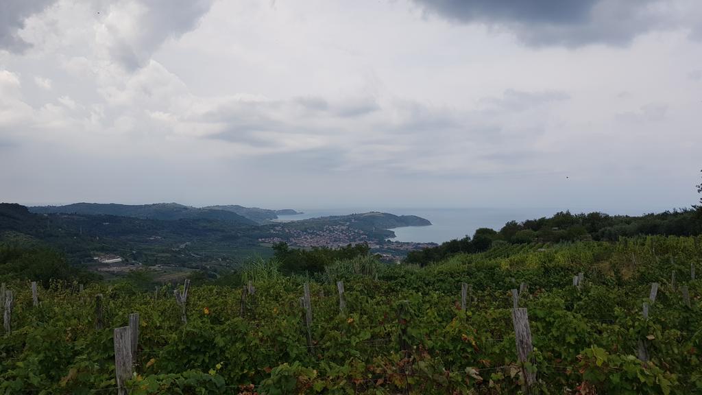 Koper vorne und Piran ganz weit hinten Koper vorne und Piran ganz weit hinten